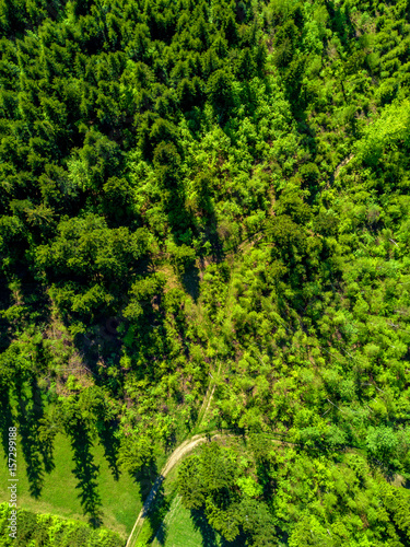 Aerial view of green landscape