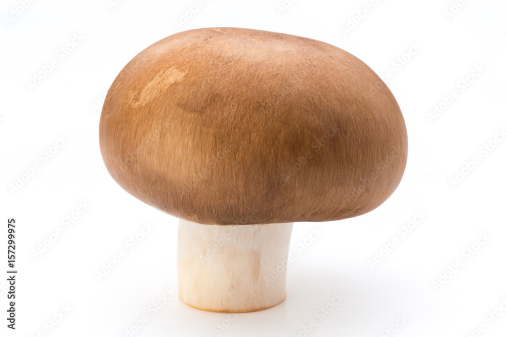 Fresh champignon mushrooms isolated on white.