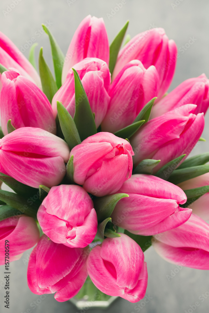 Fototapeta premium More tulip on the grey background.
