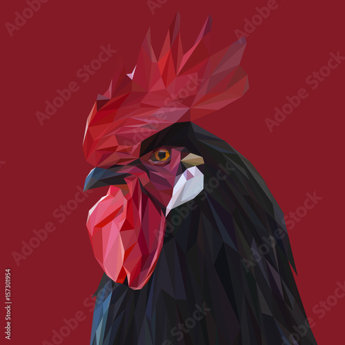 Rooster low poly design. Triangle vector illustration.