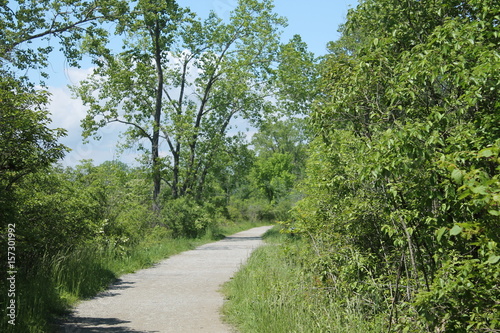 trail 1