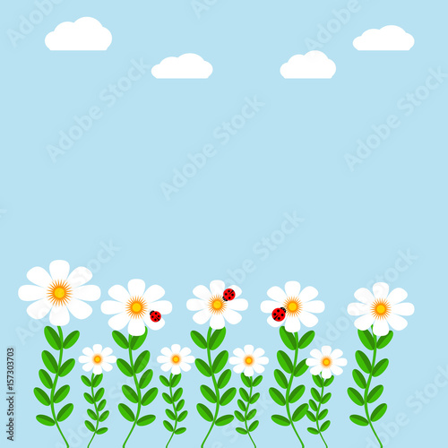 White flowers with lady bugs on blue background with clouds