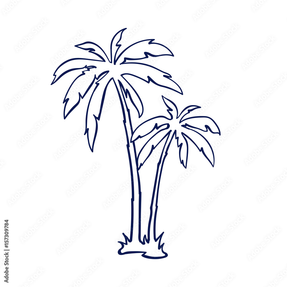Obraz premium tropical palm trees