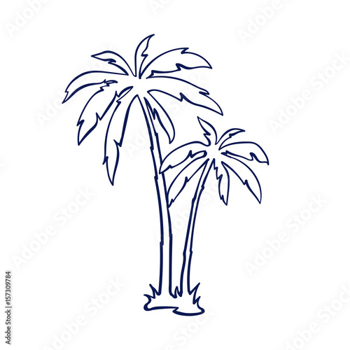 tropical palm trees