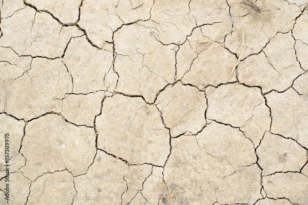 Fototapeta premium Cracked earth