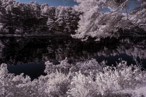 Beautiful false color surreal infrared landscape image of lake and surrounding forest photo