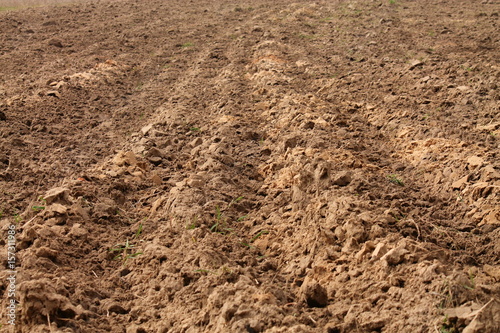 plowed field in early spring