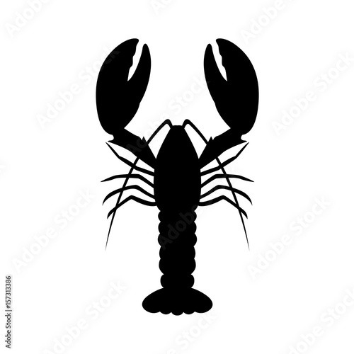 graphic lobster, vector