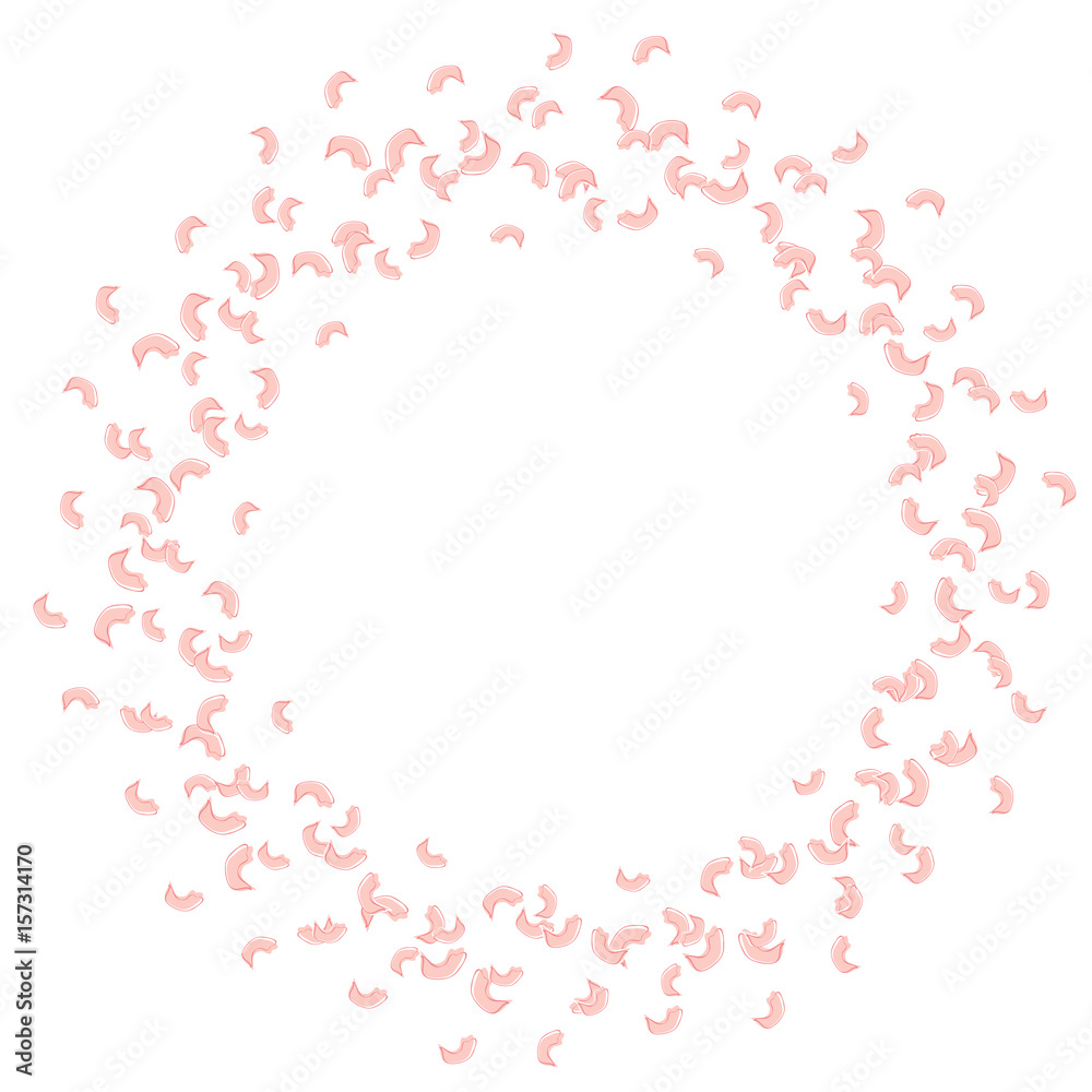 A frame of rotating, flying rose petals. Whirlwind, wedding background A frame of rotating, flying rose petals. Whirlwind, wedding background