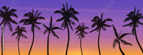 Palm coconut trees Silhouette at sunset or sunrise. Realistic banner vector illustration. Beach paradise.