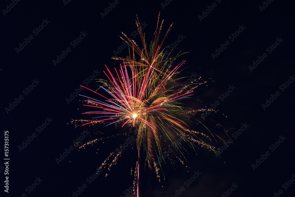 pyrotechnic show. fireworks in the night sky over the city