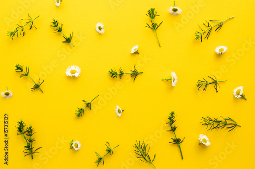 Floral pattern from white wildflowers, green leaves, branches on a yellow background. Apartment, top view. Flower pattern. A flower pattern. Flower texture © Andrii Zastrozhnov