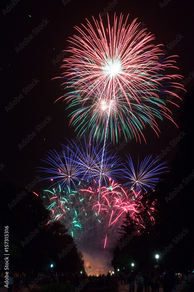pyrotechnic show. fireworks in the night sky over the city pyrotechnic show. fireworks in the night sky over the city