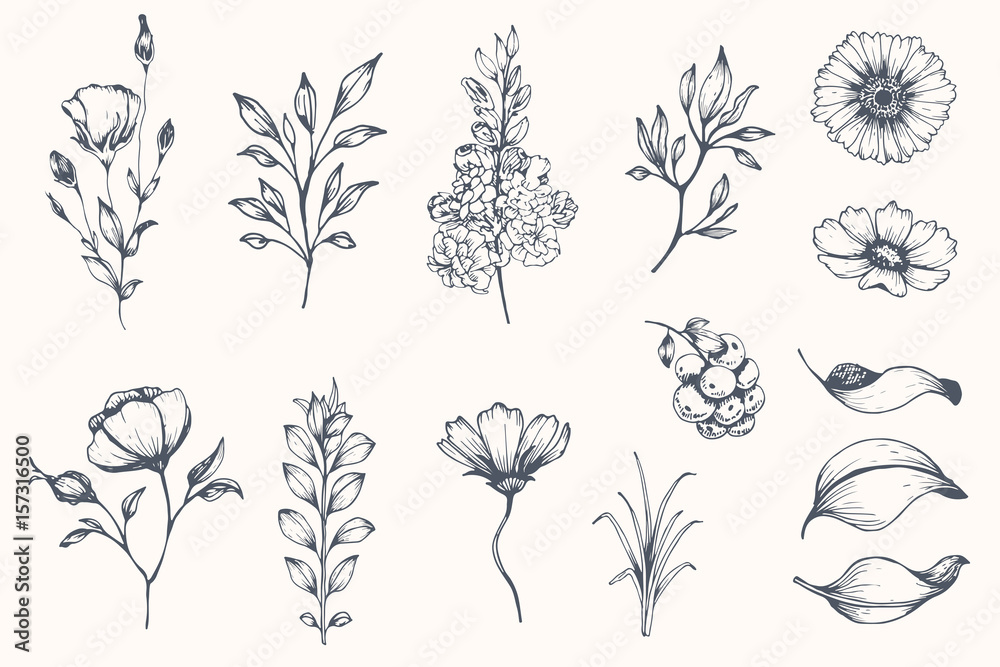 Flower Seamless Fabric Pattern Simple floral element plant decorative  design Hand drawn line art Outline doodle flat style Creative sketch  Vector Stock Vector Image  Art  Alamy