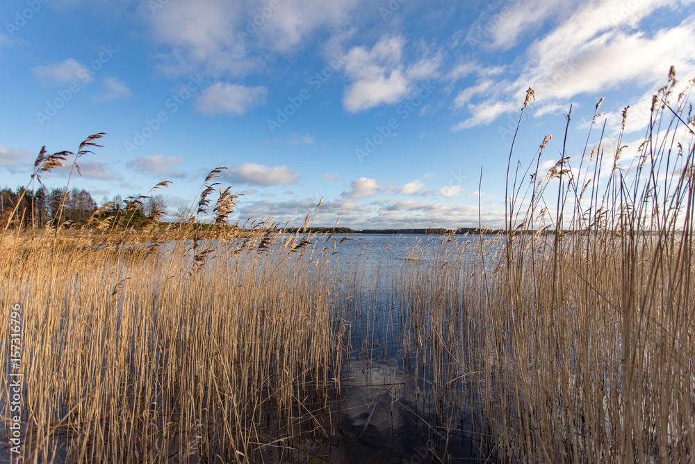 wisp grass and lake wisp grass and lake