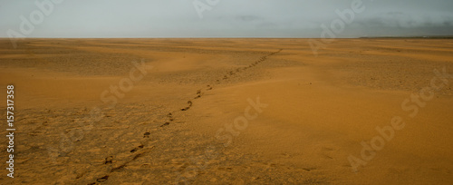 Raudasandur  Iceland