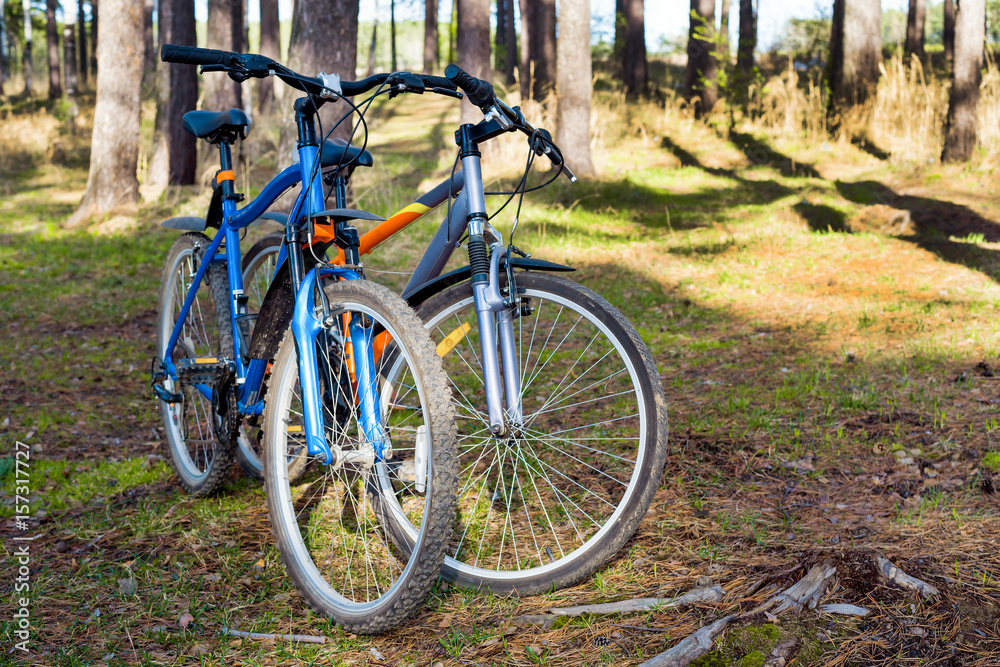 A pair of bicycles in the park A pair of bicycles in the park