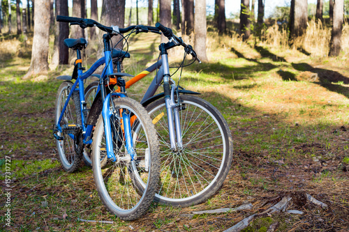 A pair of bicycles in the park 