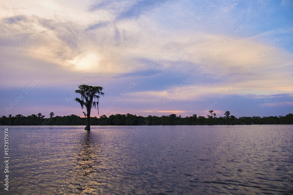 Obraz premium Banks Lake Wildlife Refuge, Lakeland, GA