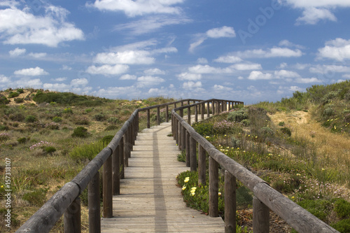 Wooden walkway leading to Bordeira Beach  Algarve   Portugal