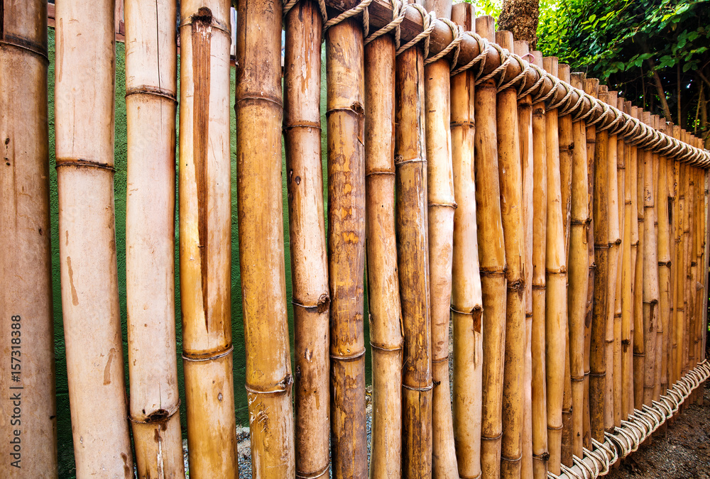Obraz premium old bamboo fence