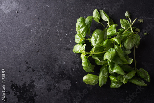 Fresh basil in wooden box