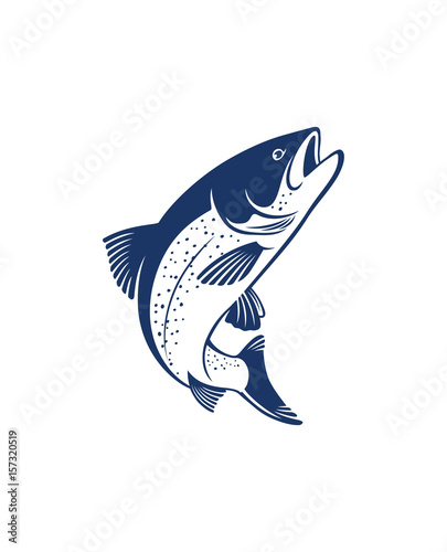 Canvas Print salmon