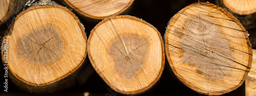 Closeup of a pile cut timber