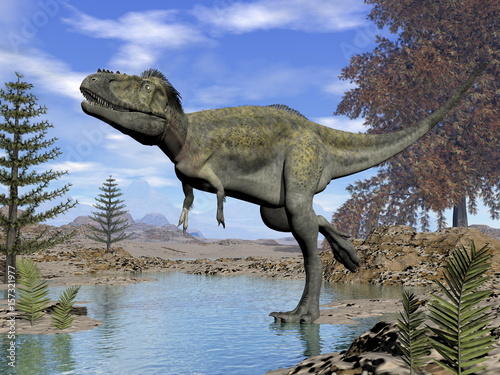 Fototapeta Naklejka Na Ścianę i Meble -  Alioramus dinosaur - 3D render