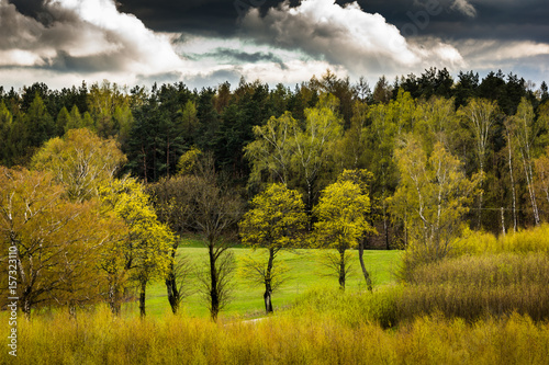Fototapeta Naklejka Na Ścianę i Meble -  View from observation tower in Stare Juchy, Masuria, Poland