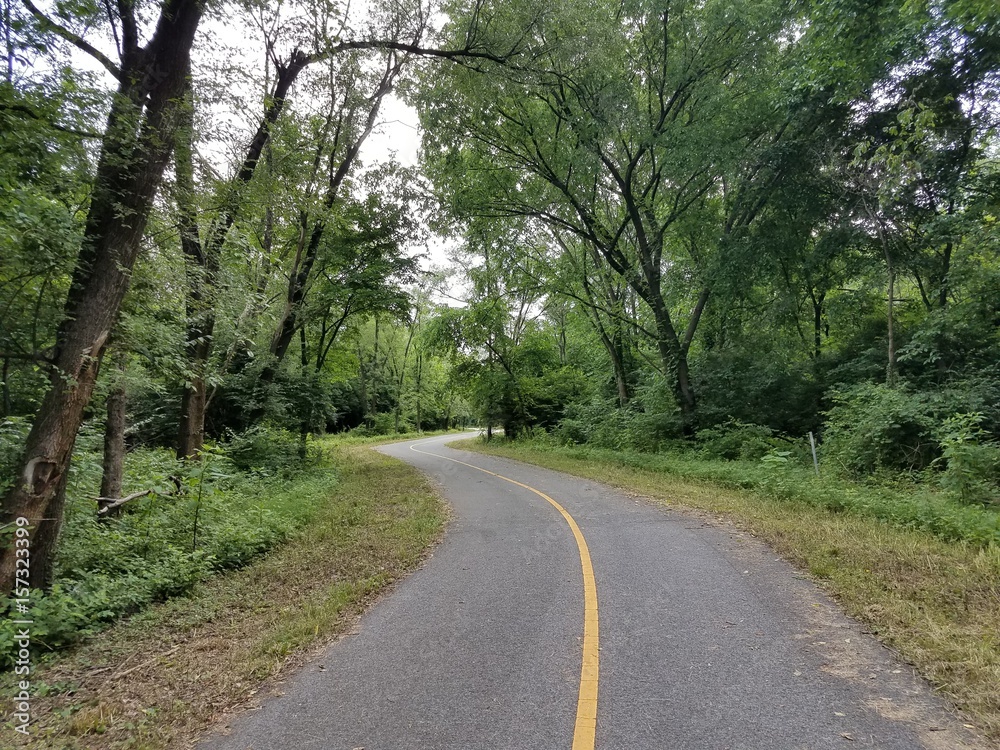 curvy bike trail in the woods