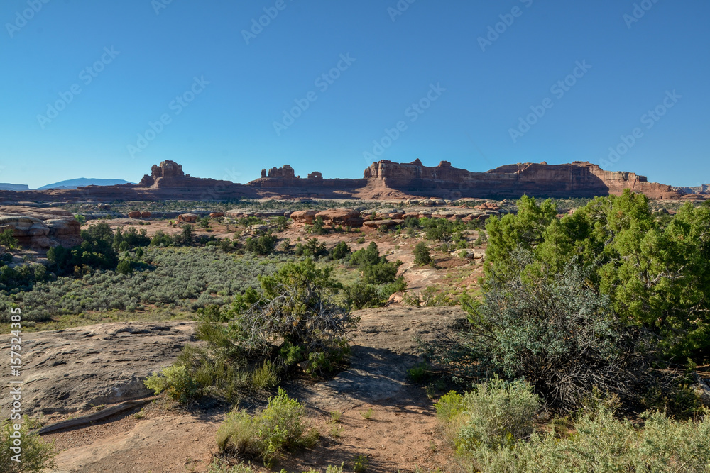 Wooden Shoe arch viewed from Needles district road
Canyonlands National Park, Utah, United States