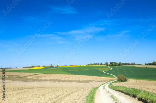 A small country road through cultivated fields of Bavaria  Germany.
