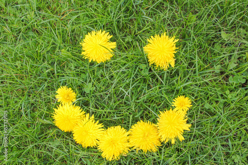 Smile of dandelions on green grass. Summer mood, smiling flowers on green grass background..