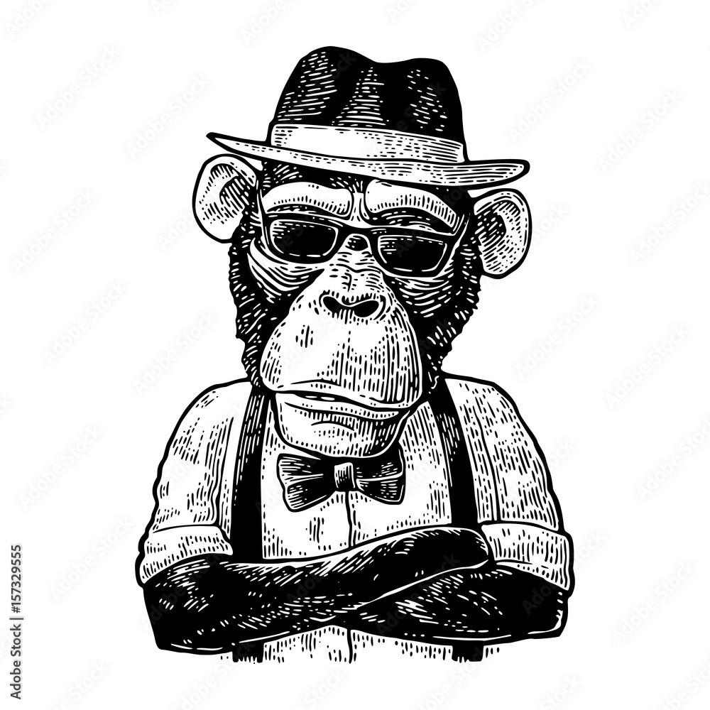 Fototapeta premium Hipster małpa ze skrzyżowanymi rękami w kapeluszu, koszuli, okularach i muszce
