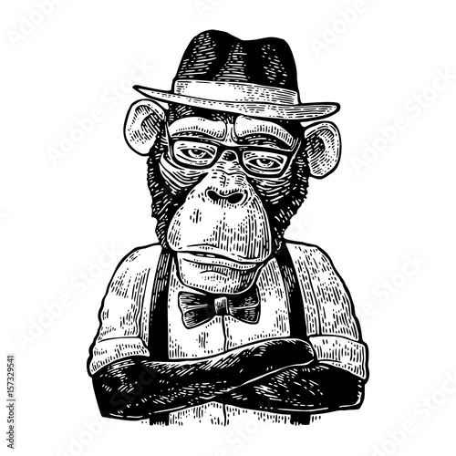 Monkey hipster with arms crossedin in hat, shirt, glasses and bow tie