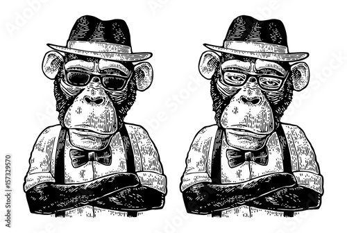 Monkey hipster with arms crossedin in hat, shirt, glasses and bow tie