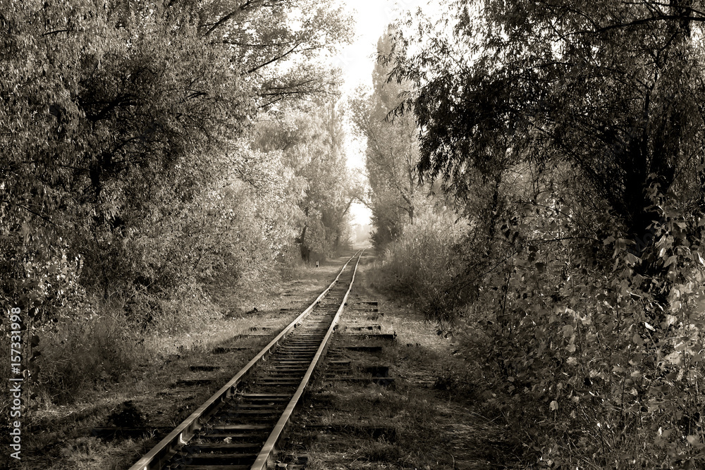 Fototapeta premium Retro toned rural railroad tracks
