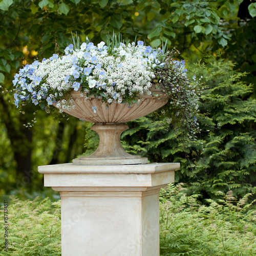 Beautiful flowers in a flowerpot or flower bed in a well-kept summer park