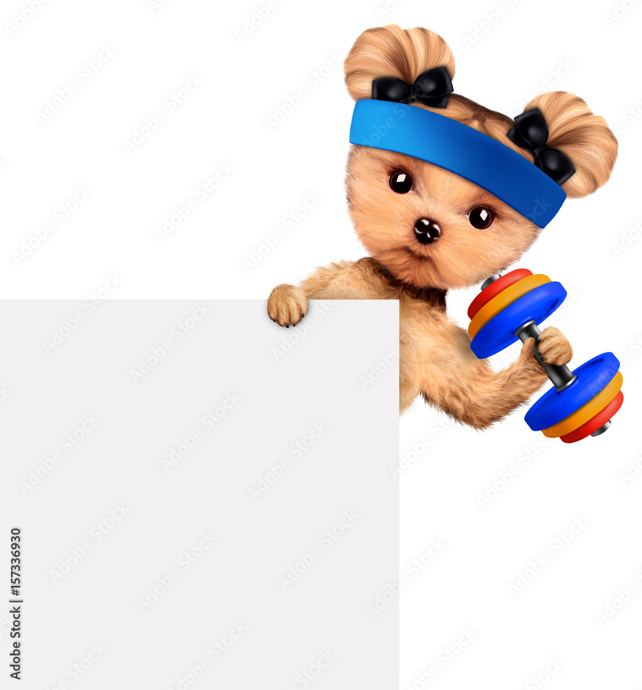 Funny dog training with dumbbell behind banner Funny dog training with dumbbell behind banner