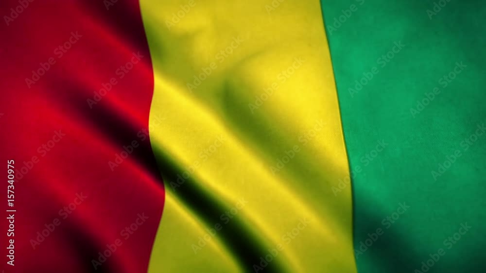 Guinea Flag Blowing in the Wind Guinea Flag Blowing in the Wind
