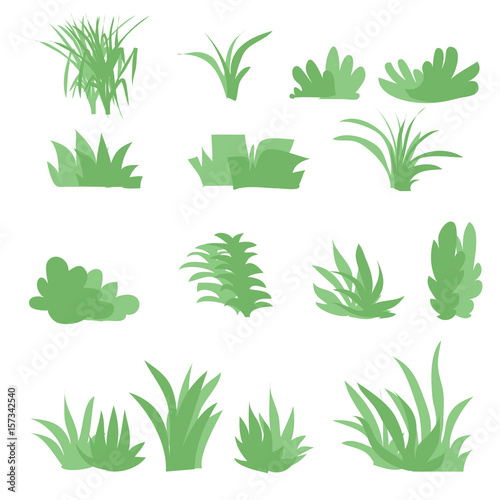 Flat grasses set vector.bush set with isolated white background