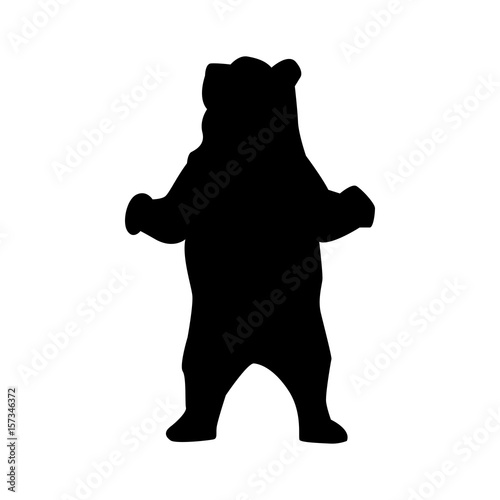 silhouette of bear. Bear Silhouette Animal isolated on white background photo