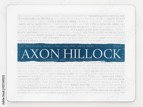 Axon hillock photo