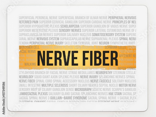 Nerve fiber photo