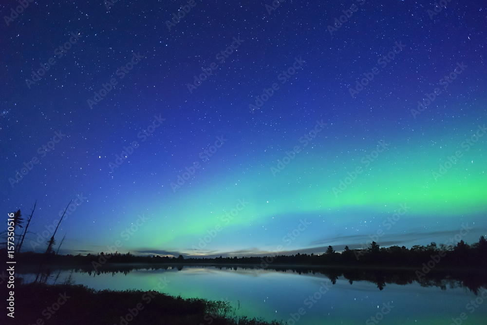 Northern wilderness land and trees silhouetted with deep blue starry sky and northern lights Northern wilderness land and trees silhouetted with deep blue starry sky and northern lights