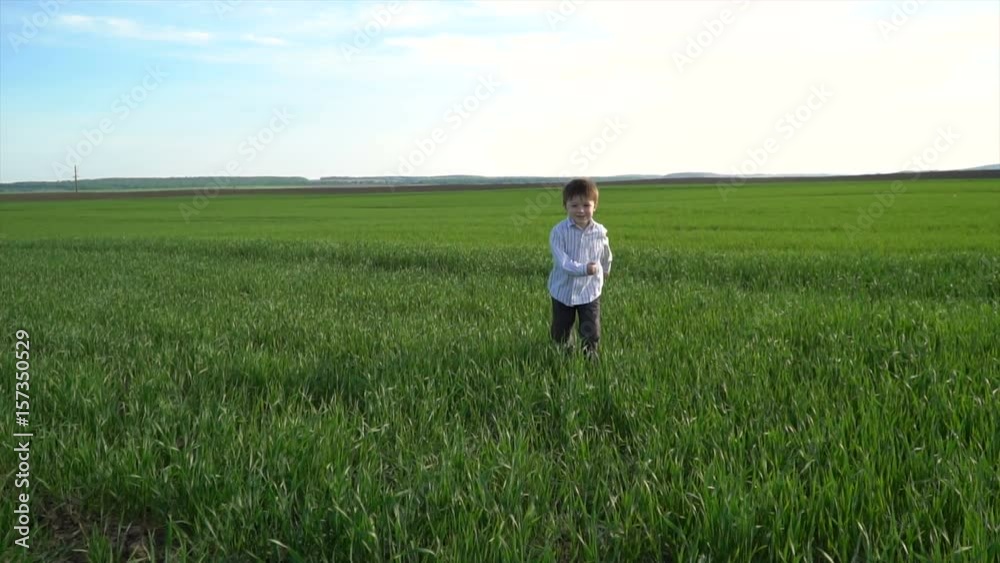 little boy runs around the green spring field little boy runs around the green spring field
