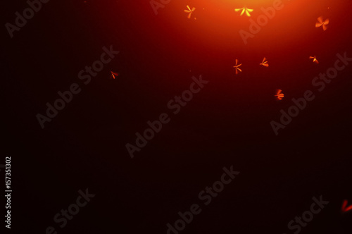 Glowing tungsten neon street lamp in the dark of the night and flying termite with motion blur effect