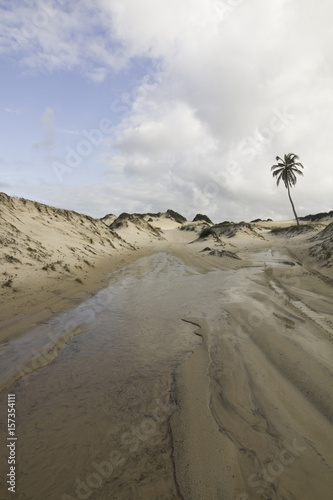 Genipabu Dunes
