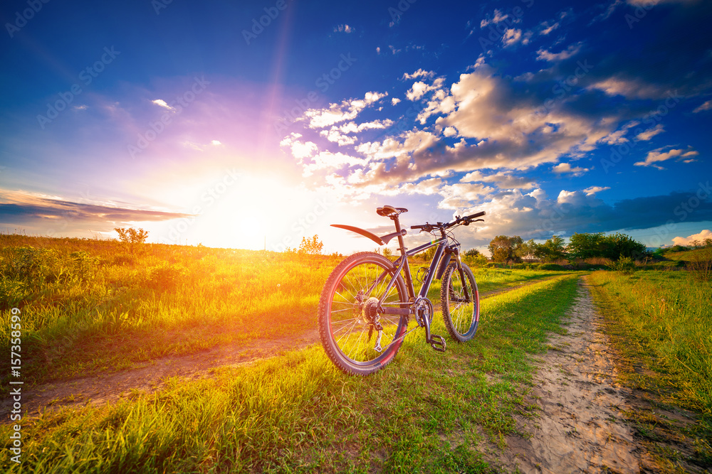 Fototapeta premium Mountain biking down hill descending fast on bicycle. View from bikers eyes.